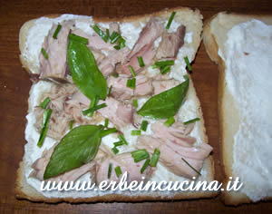 Sandwich 2: tuna and herbs