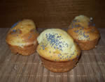 Lemon muffins with poppy seeds