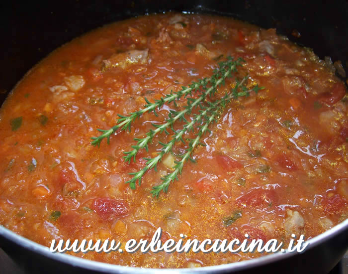 Meat and vegetables ragout with thyme