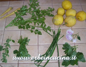 Carrots, lemons, aromatic herbs