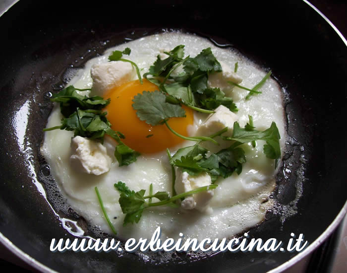 Fried egg with coriander