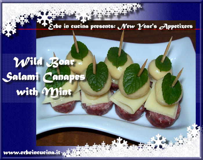 Wild boar salami canapes with mint