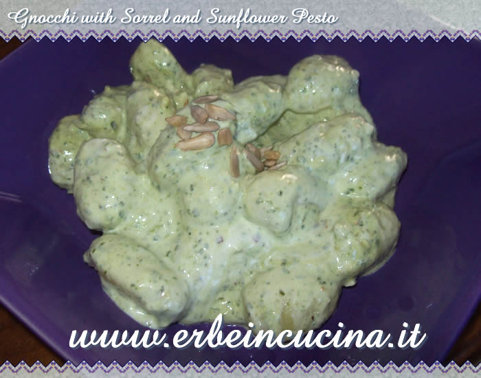 Gnocchi with sorrel and sunflower pesto