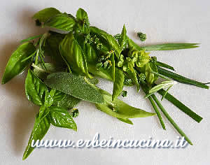 Aromatic Herbs