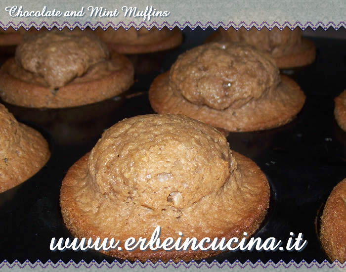 Chocolate and mint muffins