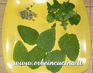 Aromatic herbs