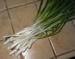 Ishikura bunching onion