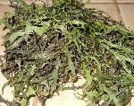 Licorice, red mustard and other harvests