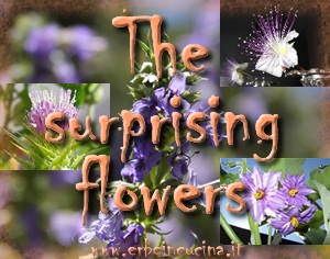 The surprising flowers