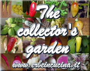 The collector s garden