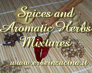 Spices and aromatic herbs mixtures