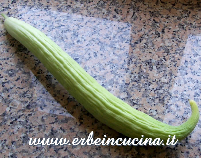 Cetriolo armeno pronto per il consumo / Harvested Armenian Cucumber