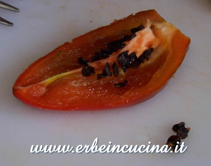 Raccolta semi di Hyper Pube  / Harvesting Hyper Pube chili pepper seeds